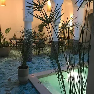 Dollar Des Sables & Marrakesh